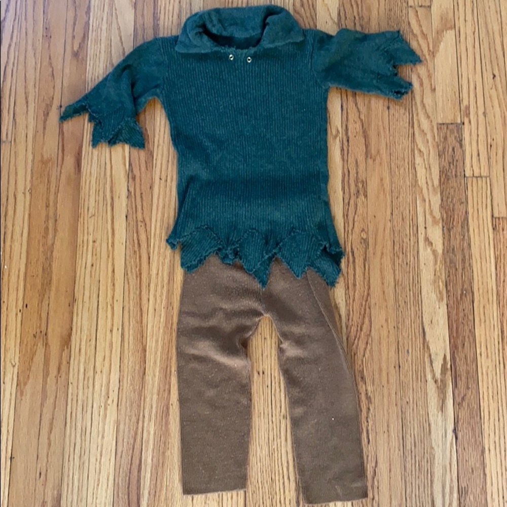 3 year old Peter Pan/Robin Hood costume